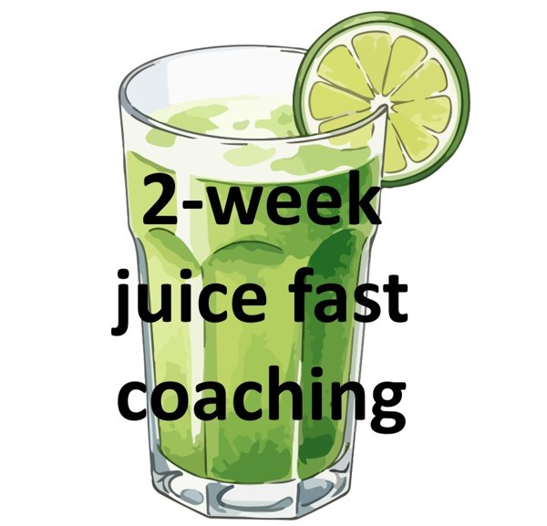 Product image of  2-Week Juice Fast (1-1 coaching online)