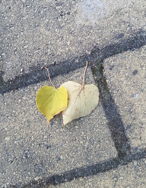 Product image of  Ratkaisukeskeinen lyhytterapia 60 min.