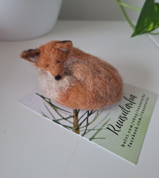 Product image of Asustekoru KETTUNEN / MAALISKUU