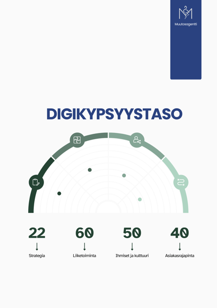 Product image of  Digikypsyyskysely + asiantuntijaraportti