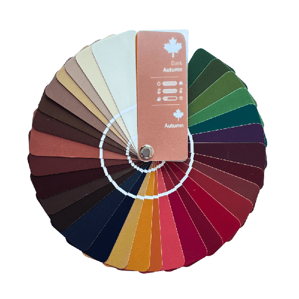 Product image of  12-jakoinen viuhka: Tumma syksy