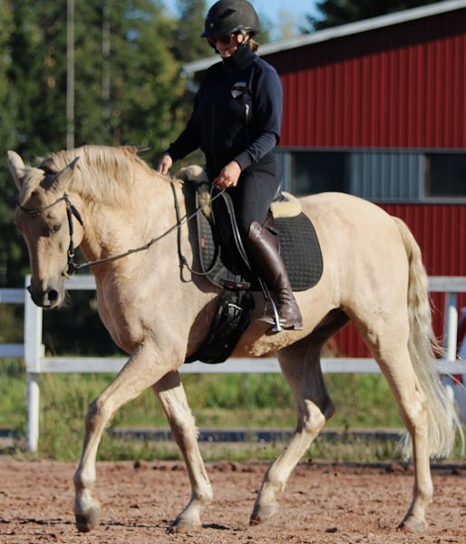 Product image of Yksityistunti 45min