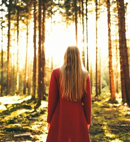 Product image of  Konsultaatio - Henkinen kehitys 60min