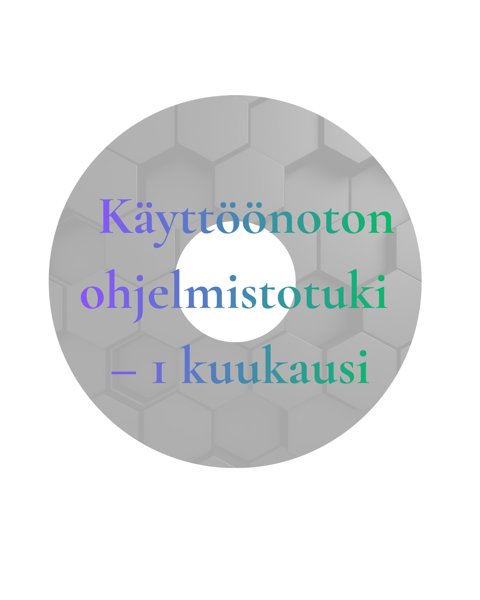 Product image of  Käyttöönoton ohjelmistotuki – 1 kuukausi