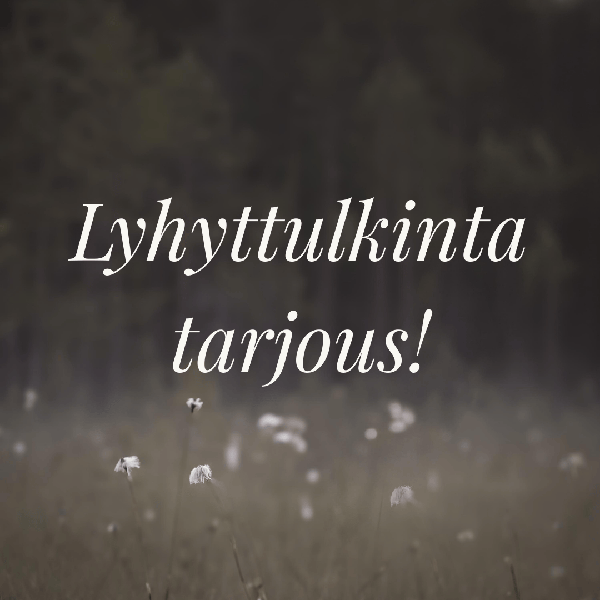 Product image of  Lyhyt tulkinta TARJOUS