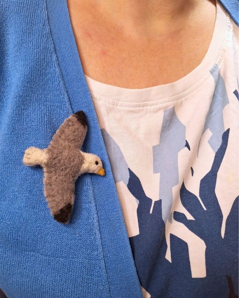 Product image of  Asustekoru Lokki