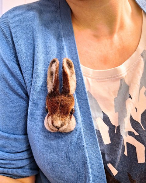 Product image of  Asustekoru Jättikani