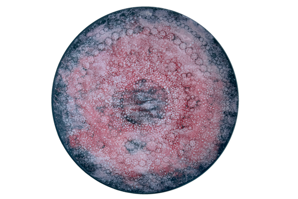 Product image of  Helmikuu