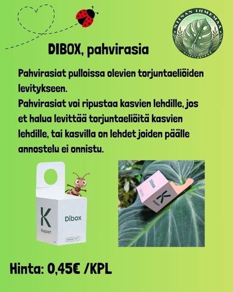 Product image of Dibox- Ripustettava pahvirasia petopunkkien levitykseen.