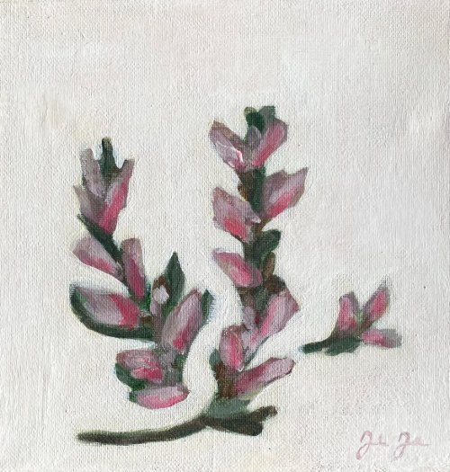 Product image of  ' Kanervani '