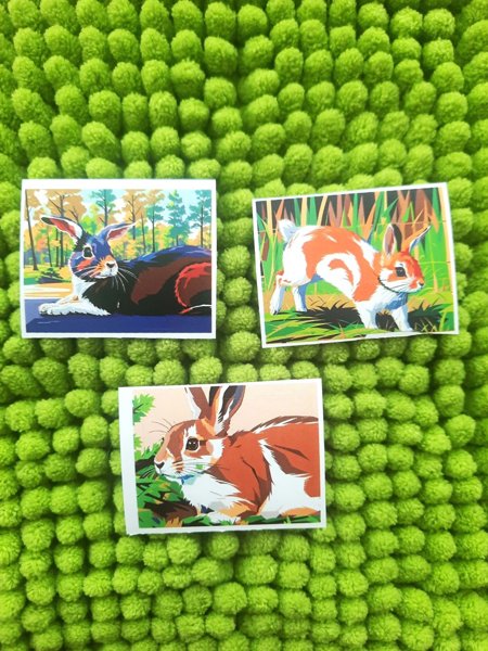 Product image of  Pupu tarrat 3kpl