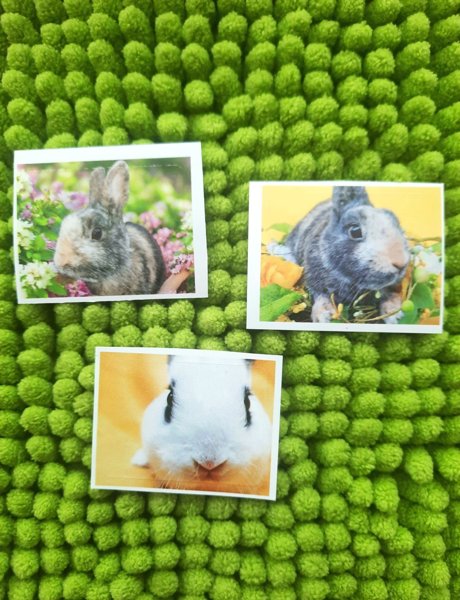 Product image of  Pupu tarrat 3kpl