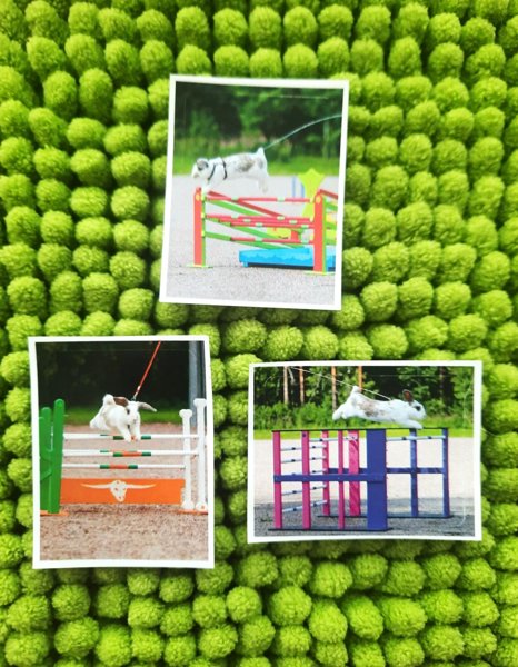 Product image of  Pupu tarrat 3kpl