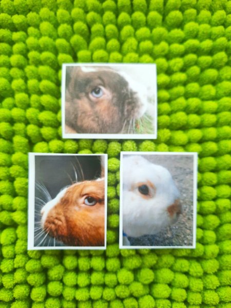 Product image of  Pupu tarrat 3kpl