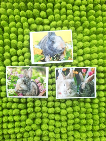 Product image of  Pupu tarrat 3kpl