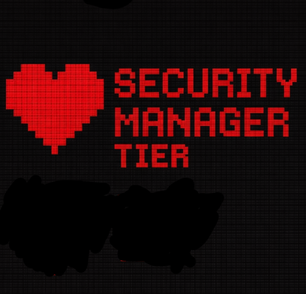 Product image of  Security Manager Tier sponsorship