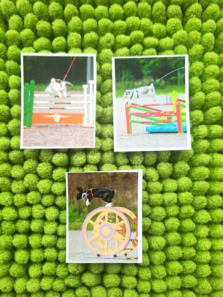 Product image of  Pupu tarrat 3kpl