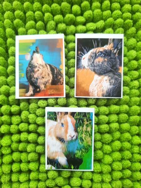 Product image of  Pupu tarrat 3kpl