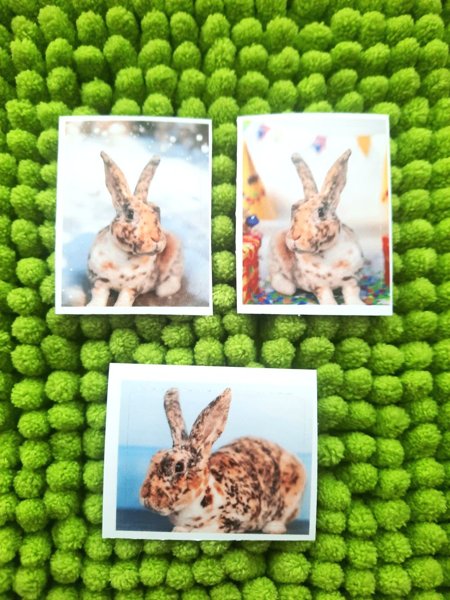 Product image of  Pupu tarrat 3kpl