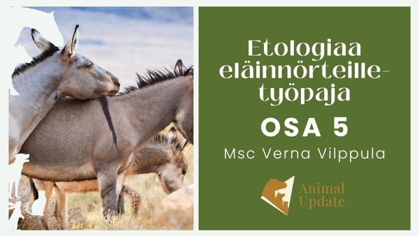 Product image of  EET5 Sosiaalisuuden rakenteet ja muodot/ etänä 09.04