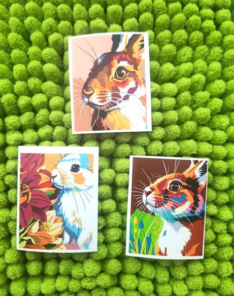 Product image of  Pupu tarrat 3kpl