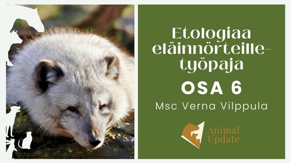 Product image of  EET6 Domestikaation mekanismit/ etänä 22.04