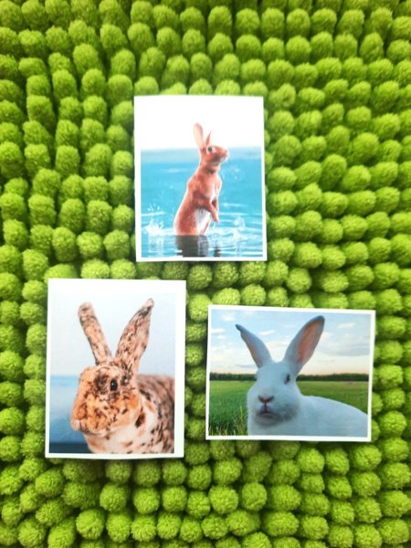 Product image of  Pupu tarrat 3kpl