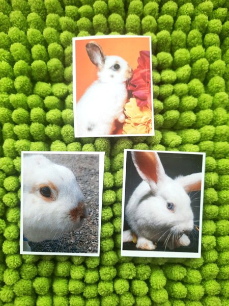 Product image of  Pupu tarrat 3kpl