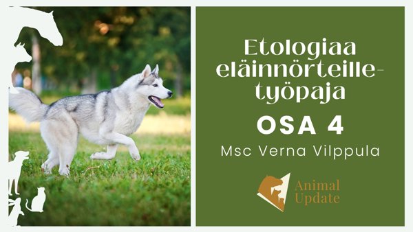 Product image of  EET4 Käyttäytymisen ja hyvinvoinnin systeemianalyysi / etä 25.03