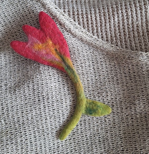 Product image of Asustekoru krookus tumma pinkki.