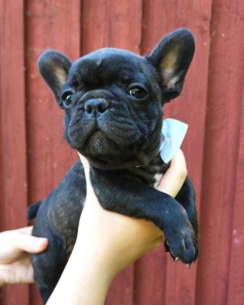 Product image of  La 18.4.2026 klo16.45-17.45