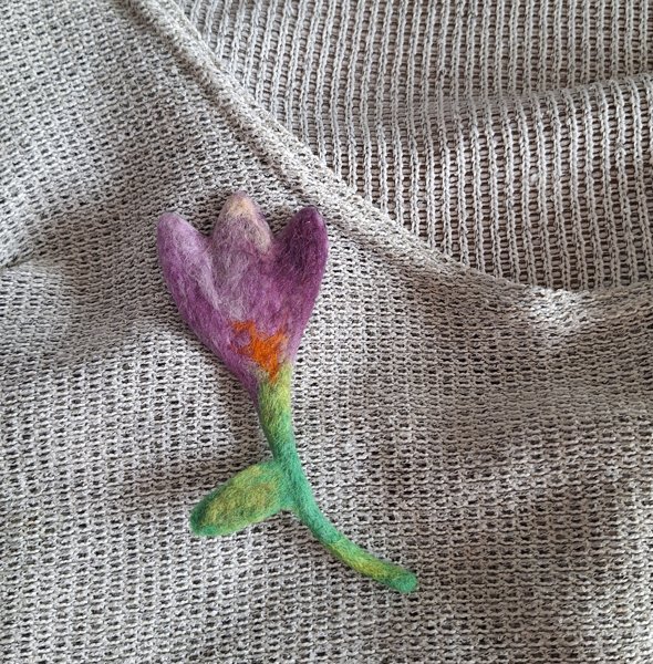 Product image of Asustekoru krookus liila