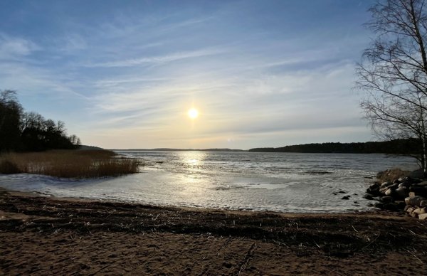 Product image of  Kevätpäiväntasaus - ilmainen kundaliinijoogatunti