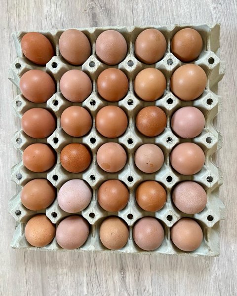 Product image of  Munatilaus 3kk, Hämeenlinna, Hausjärvi, Riihimäki.