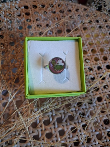 Product image of  Vanamo-sormus