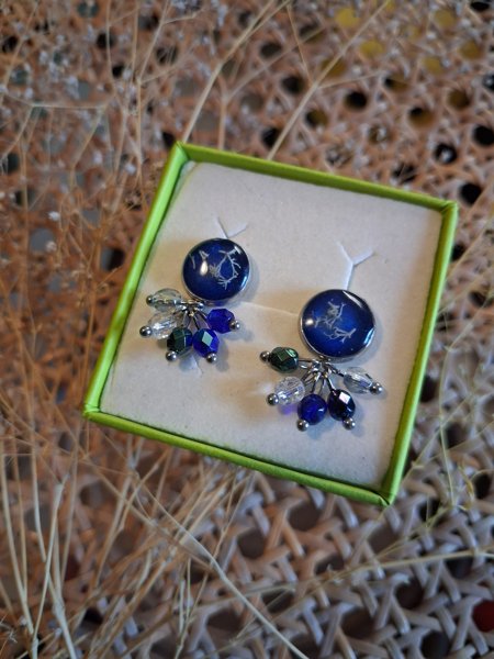 Product image of  Cladonia-korvakorut