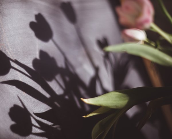 Product image of  Johdon työnohjaus 5x