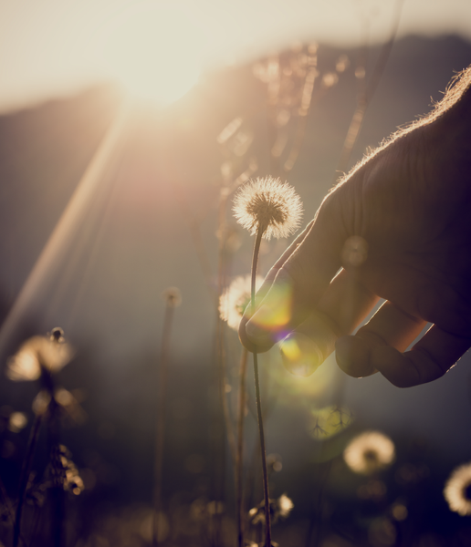 Product image of  Työnohjaus 90 min