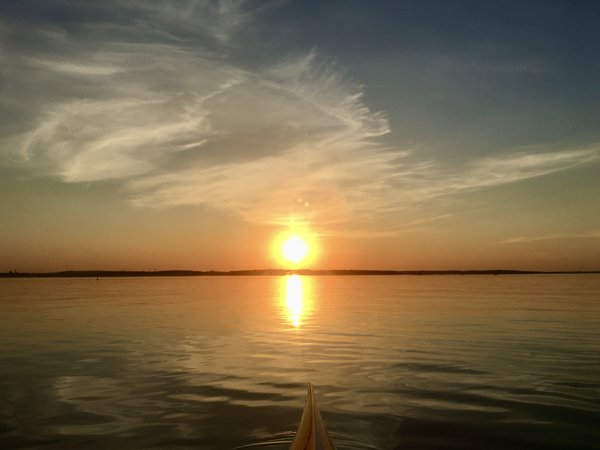 Product image of  🌿 Uusi alku – kundaliinijoogaa kevääseen (10x verkkokurssi)