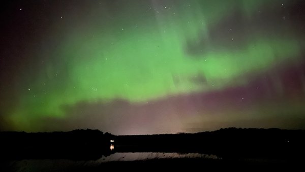 Product image of  Kevätpäiväntasaus - ilmainen kundaliinijoogatunti (tallenne)