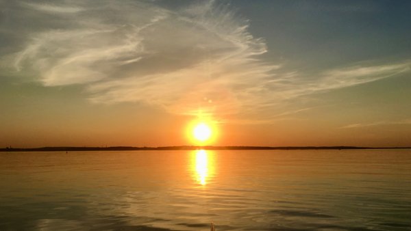 Product image of  🌿 Uusi alku – kundaliinijoogaa kevääseen (kertamaksu)