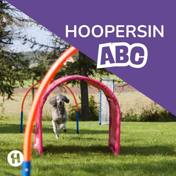 Product image of  Hoopersin ABC -webinaari 19.4.2026