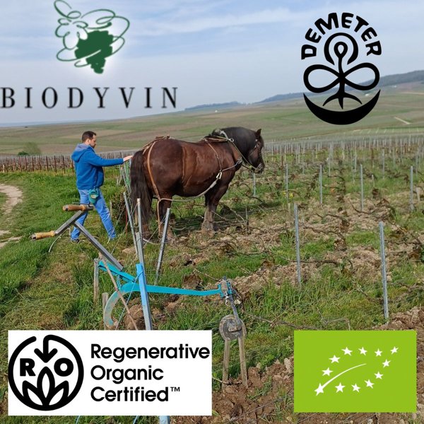 Product image of Luomu- ja biodynaamiset viinit 4.6.2026