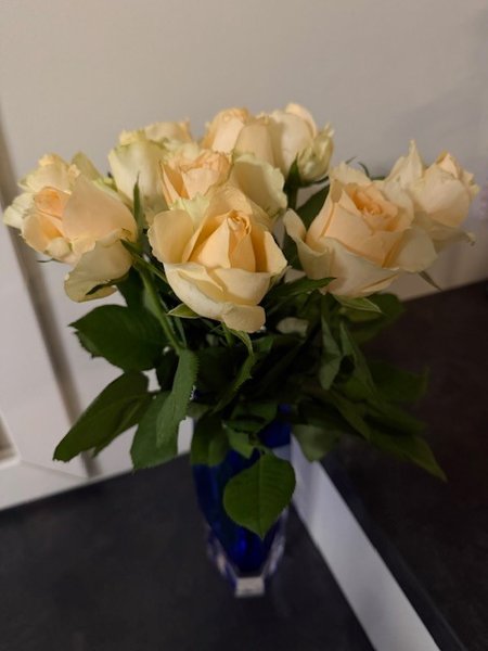 Product image of  Asiakkaiden kokemuksia lähihoidoista