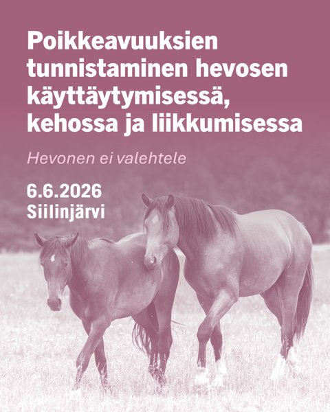 Product image of Hevosen kivun tunnistamisen kurssipäivä Siilinjärvellä