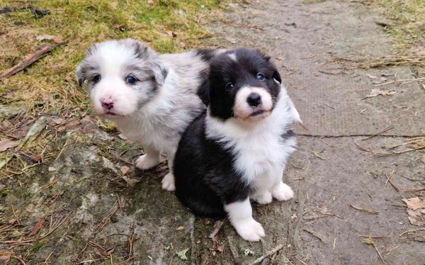 Product image of  Su 19.4.2026 klo 11.45-12.45