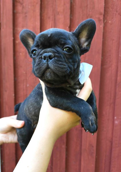 Product image of  Su 26.4.2026 Klo14.15-15.15