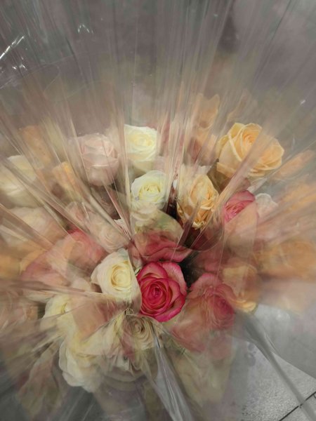 Product image of  Ruusu Tanssien läpi tunteiden -näytökseen Espooseen