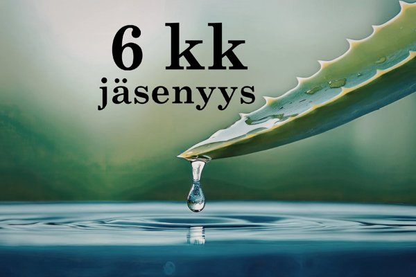 Product image of Vesipaastoryhmä 6 kk (ryhmävalmennus)