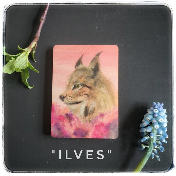 Product image of Ilves - magneetti